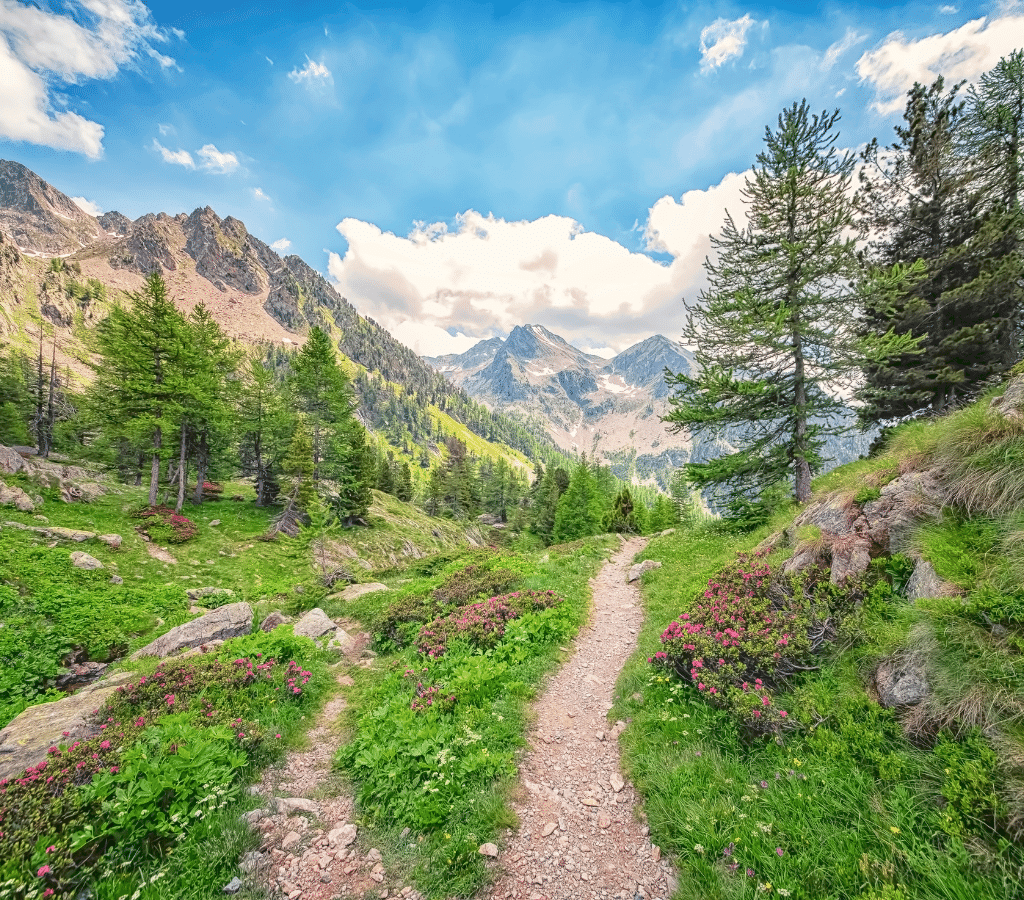 Ce sentier au cœur du parc du mercantour est parfait pour reprendre la marche sans forcer